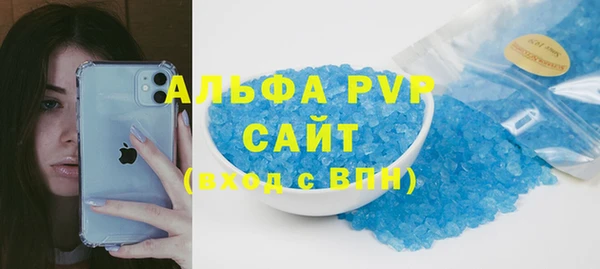 крисы Кулебаки