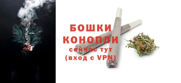 крисы Кулебаки