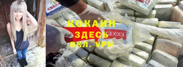 спиды Лагань