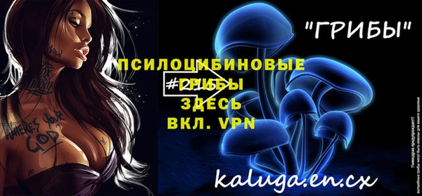 спиды Лагань