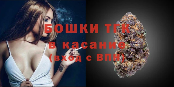 крисы Кулебаки